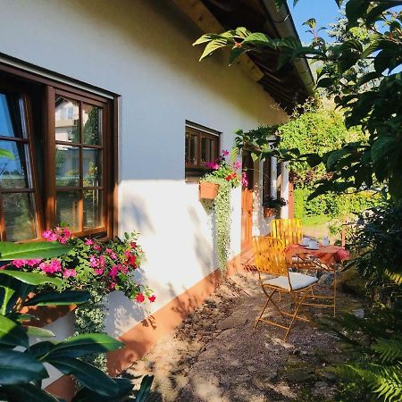 Rickenbach  Ferienhaus Zirbe מראה חיצוני תמונה
